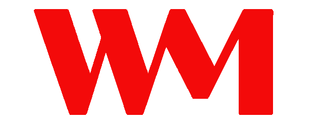 WireMingle Logo